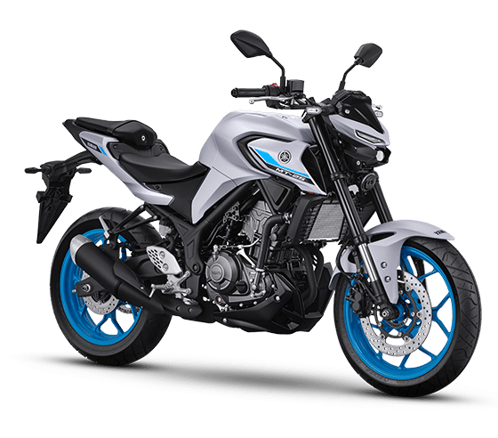MT-25 Metallic Light Grey